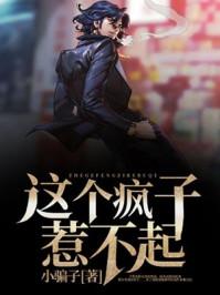 你这个疯子快停下来
