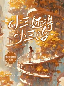 小三也要坐牢吗