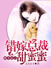婚不由己 总裁情深不负
