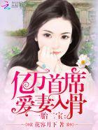 一胎二宝亿万首席爱妻入骨宝