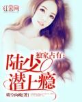 观鹤笔记百度TXT